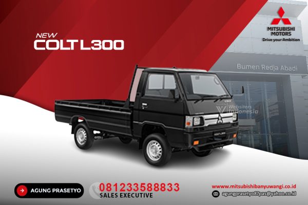 New Colt L300